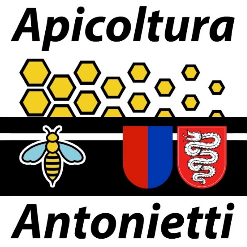 Logo Link