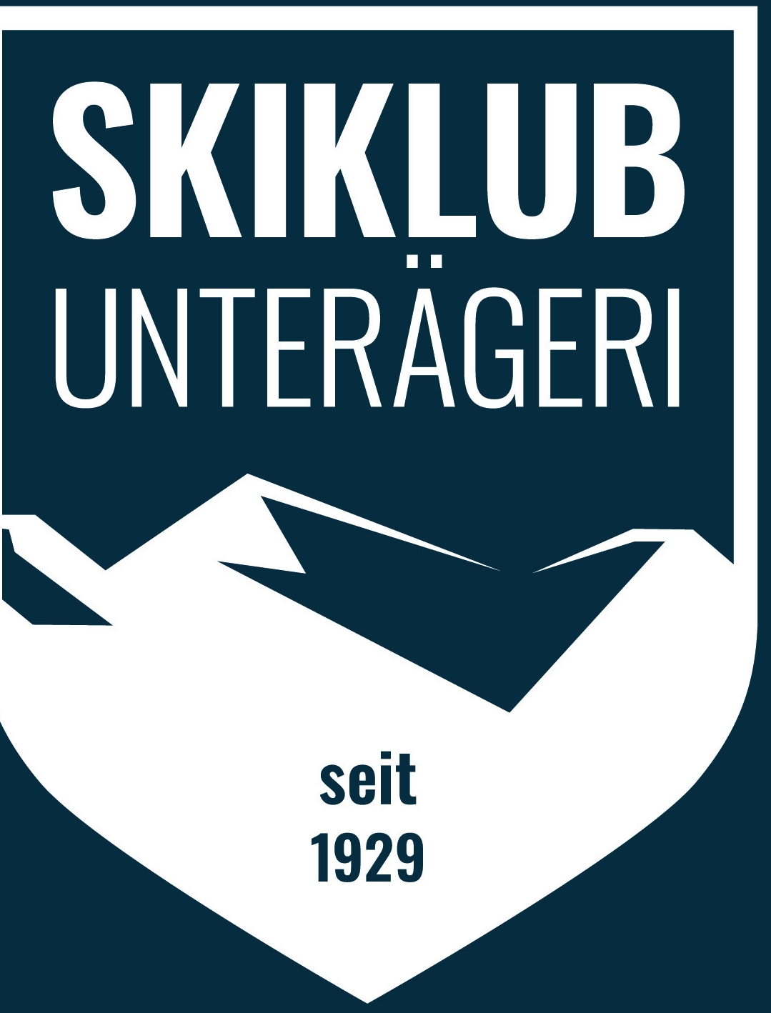 Logo Link