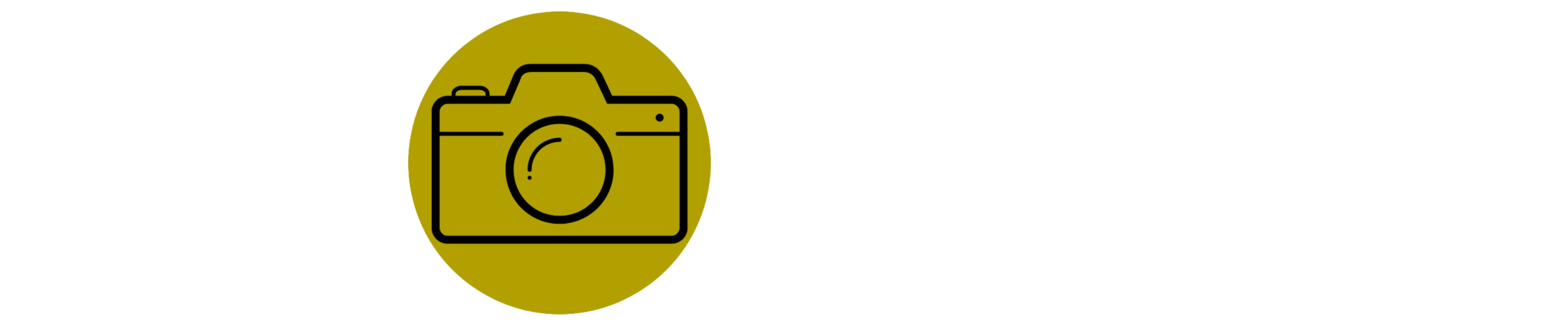 Logo Link