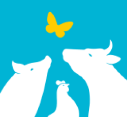 Logo Link