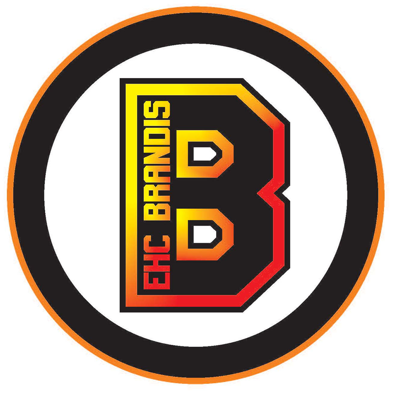 Logo Link