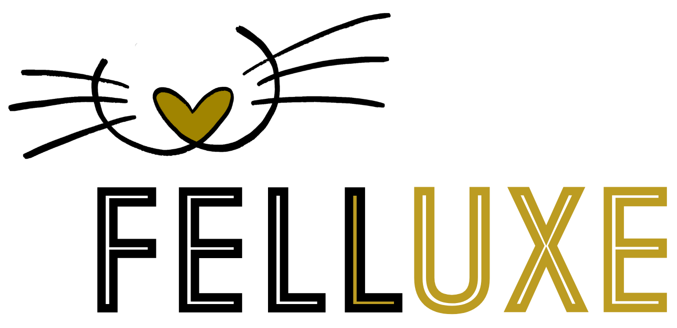 Logo Link