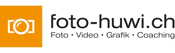 Logo Link