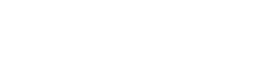 Logo Link