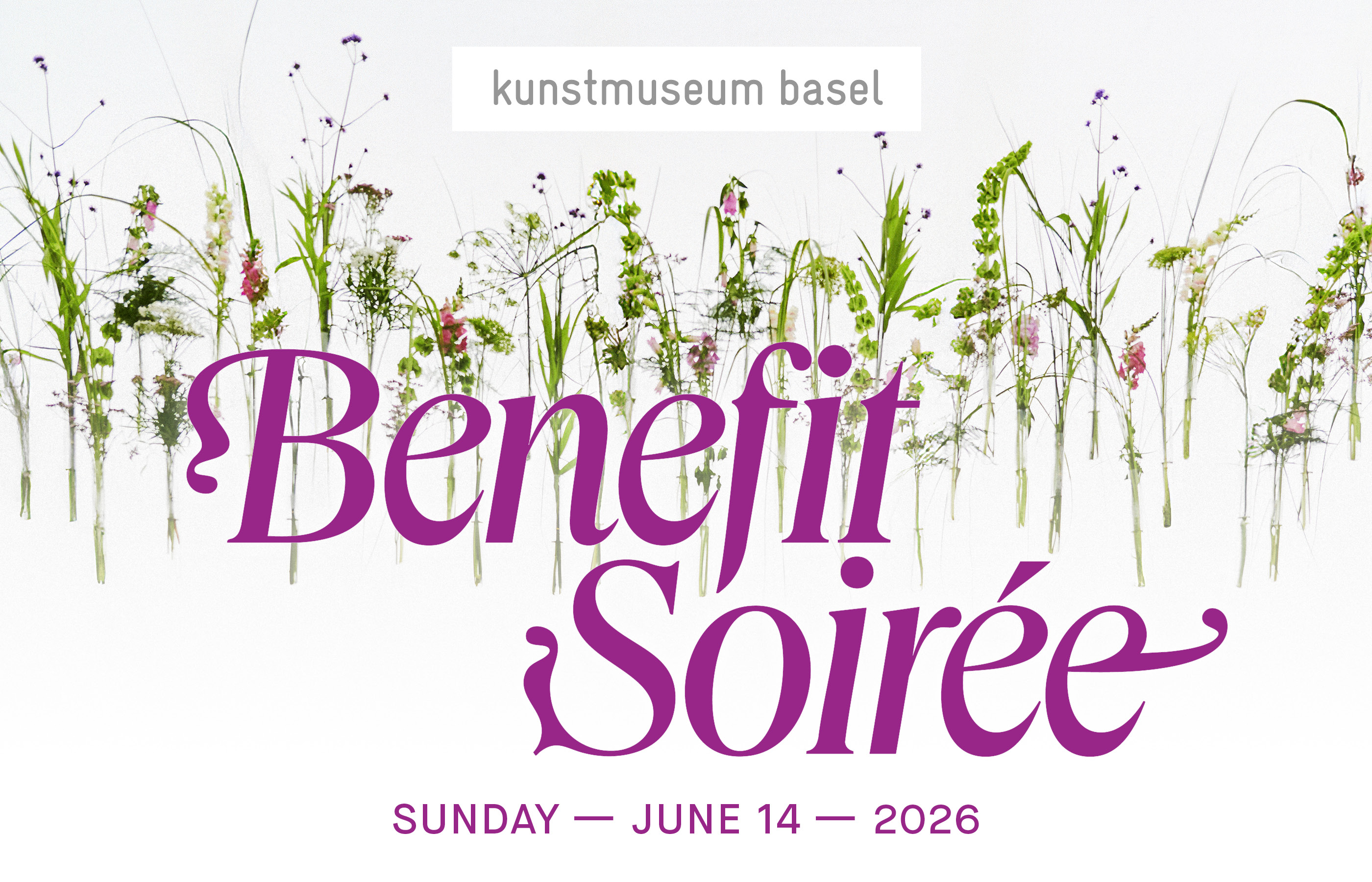 Logo Link