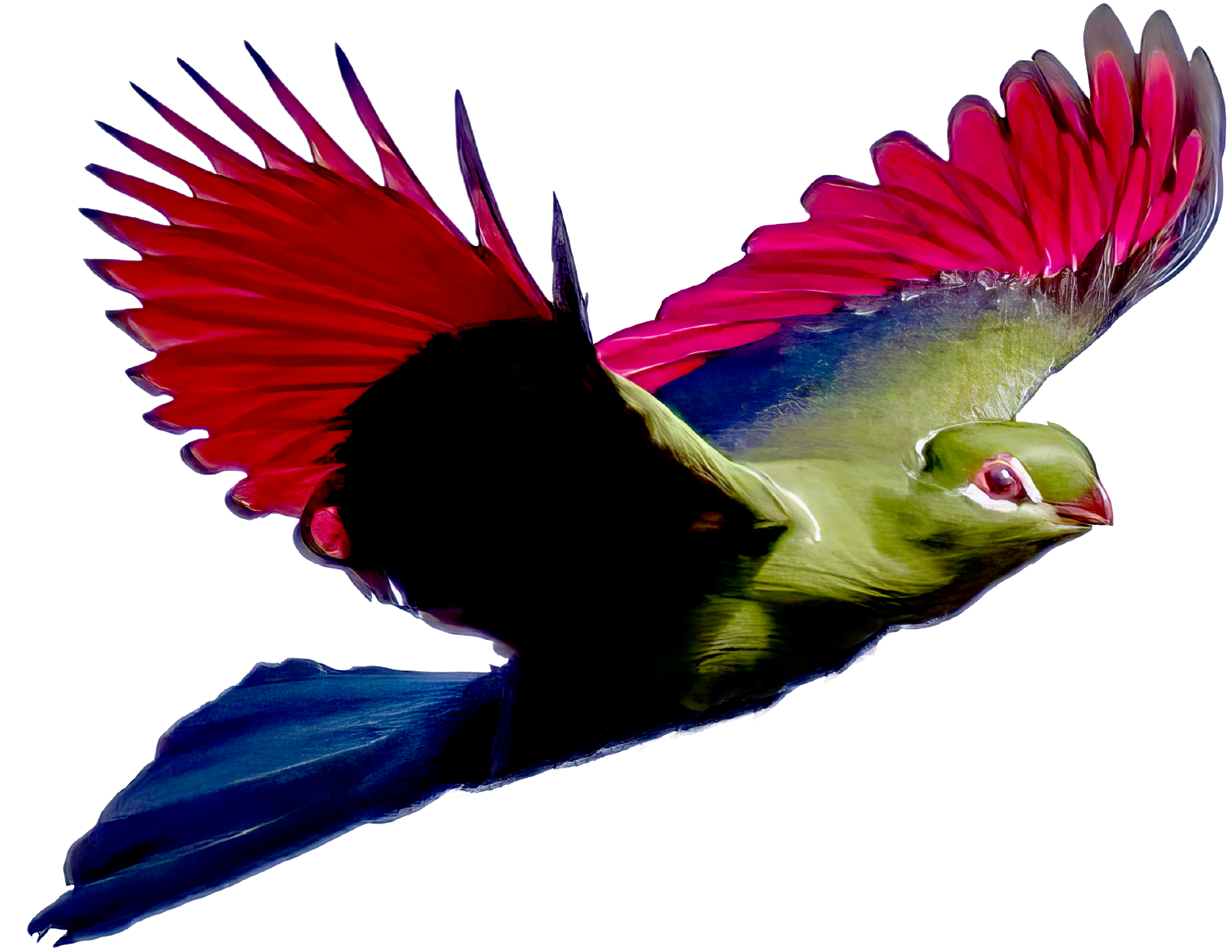 Logo Link