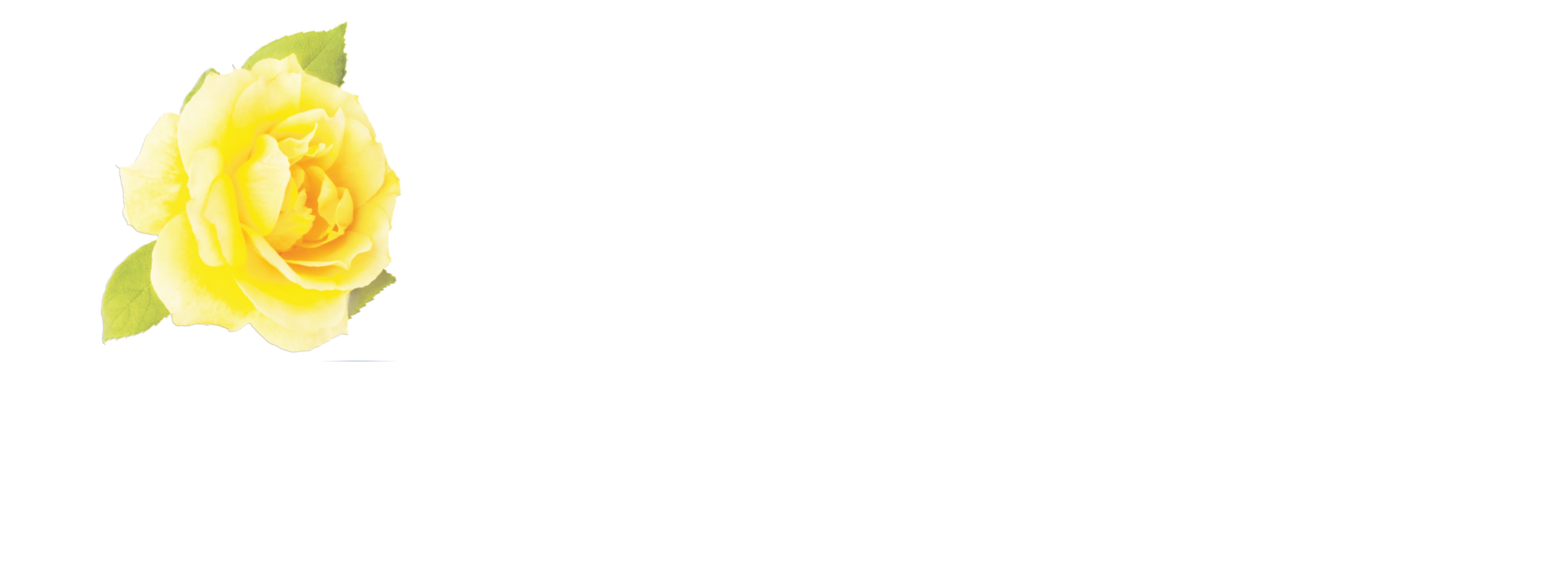 Logo Link