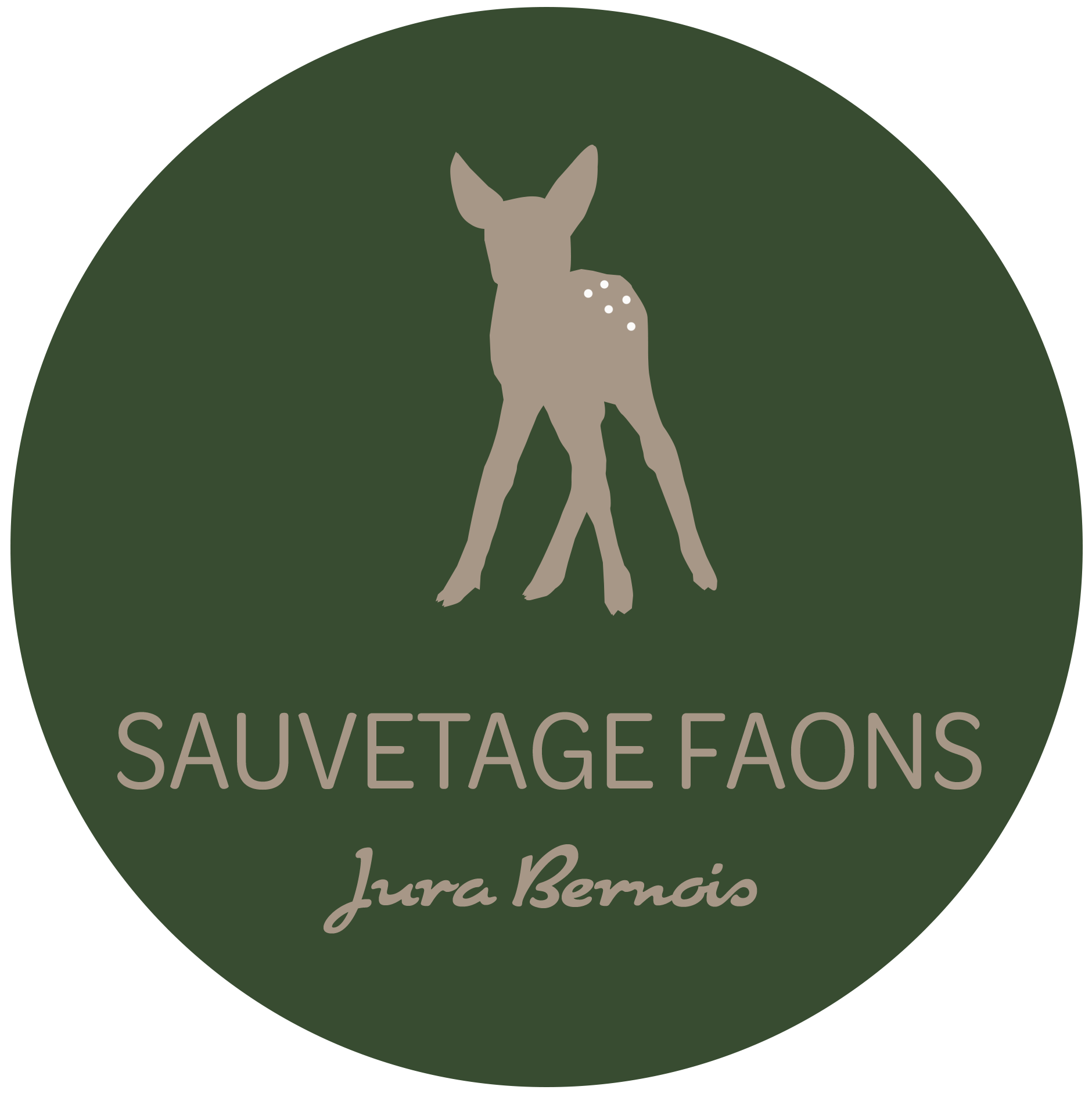 Logo Link